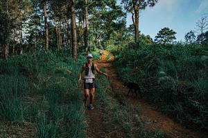 BIB: 
                            <button type="button" onclick="openModal(25654597)" class="btn btn-primary btn-sm float-right btn-popup" data-toggle="modal" data-target=".modal-high-quality">
                        <i class="fas fa-shopping-cart"></i> Add to Cart
                    </button>
                                            <button type="button" onclick="isThisMe(25654597, true)" class="btn btn-success btn-sm float-right btn-popup btn-isme hidden" data-toggle="tooltip" data-placement="bottom" title="นี่คือรูปของคุณใช่ไหม คลิกที่นี่เพื่อเอาเข้าอัลบั้ม">
                        <i class="fas fa-plus"></i> Add to album
                    </button>
                    <button type="button" onclick="isThisMe(25654597, false)" class="btn btn-warning btn-sm float-right btn-popup btn-isnotme hidden">
                        <i class="fas fa-ban"></i> Remove from album
                    </button>